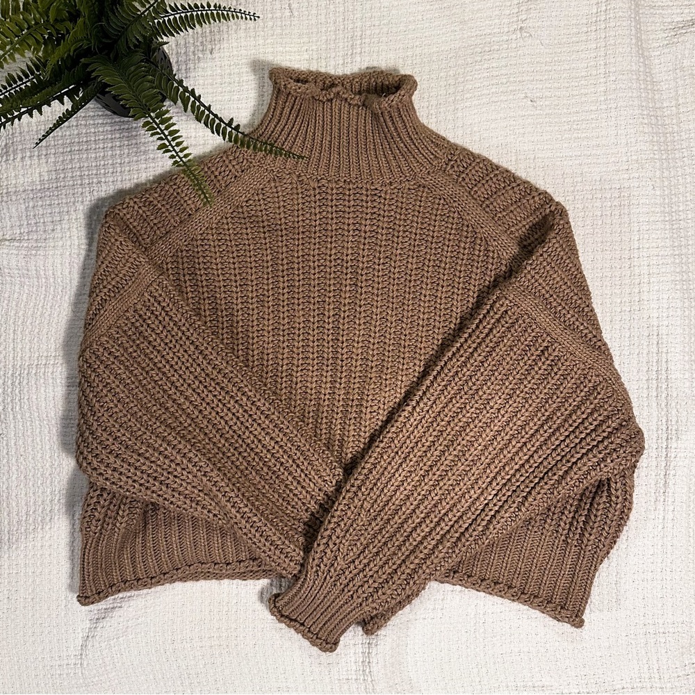H&M Chunky Turtleneck